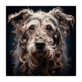Old Dog 09 (Print Only) thumbnail