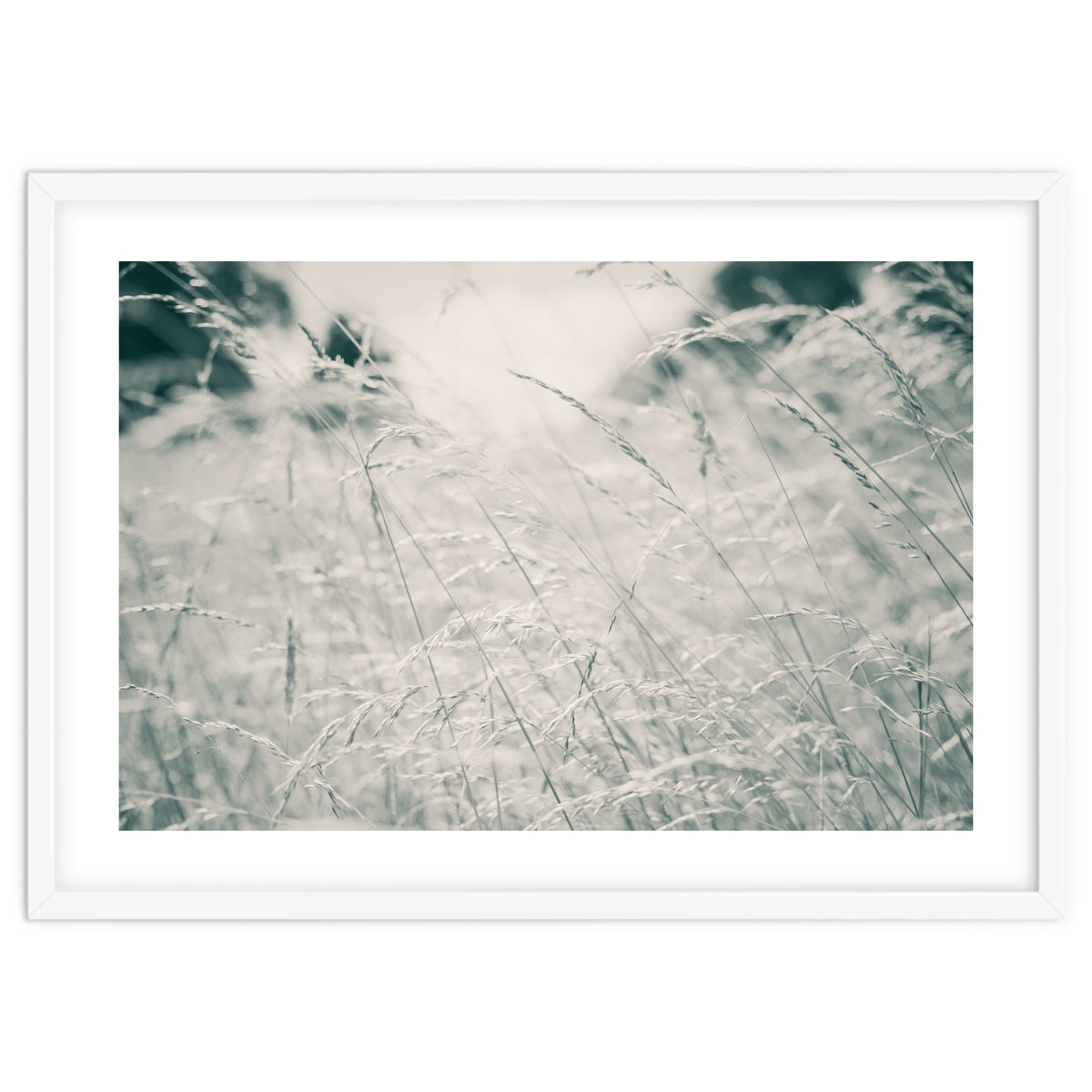 Walking Through Long Grass