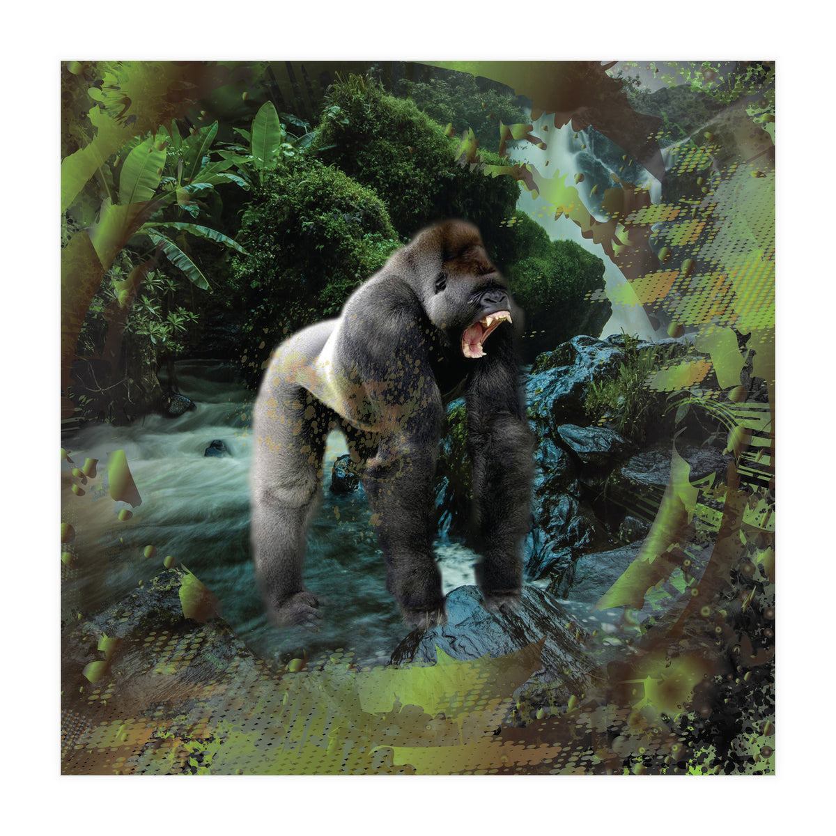 Gorilla  (Print Only)