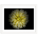 Backyard Flowers No 86 Color Flow Version thumbnail