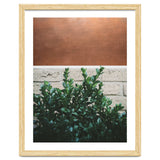 Plant + Copper thumbnail
