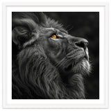 Majestic Lion Face Closeup Golden Eyes Black thumbnail