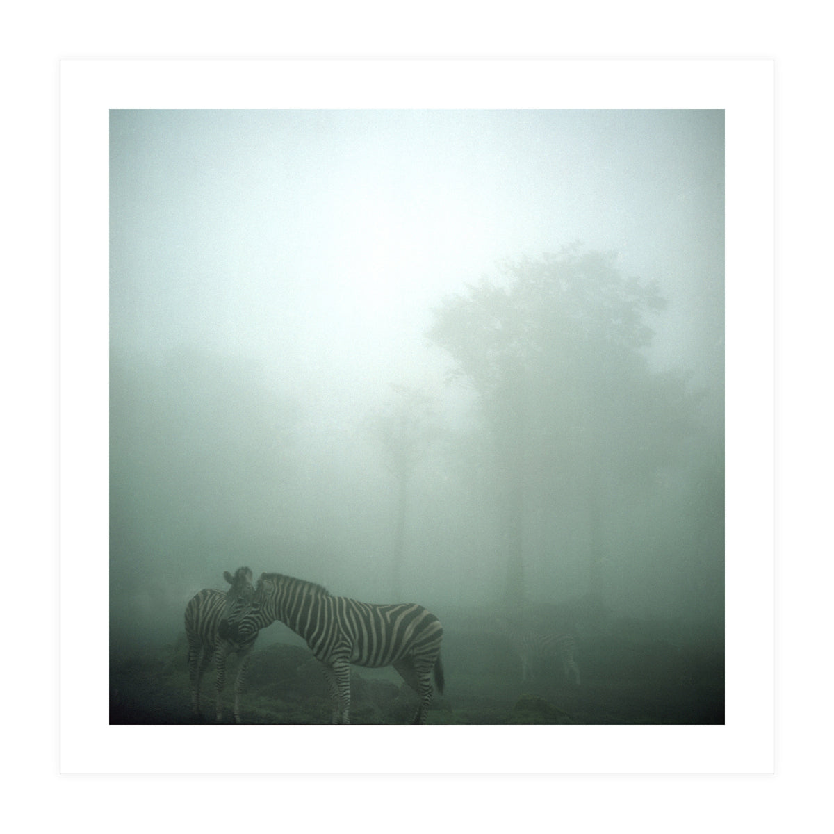 Silence of breath - 15 (Print Only)