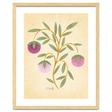 Vintage Fruits thumbnail