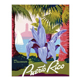 Puerto Rico Flower (Print Only) thumbnail