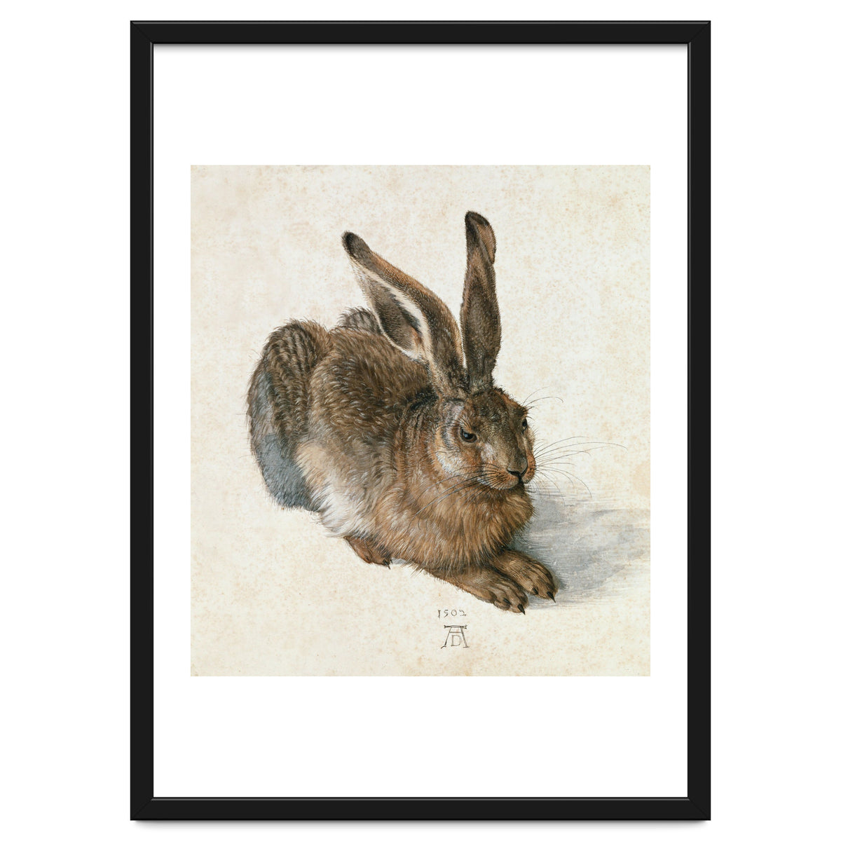 Hare-Hase. Watercolour.