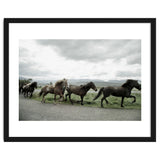 Running horses - Iceland thumbnail