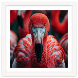Close Up Flamingo Head With Bright Red Feathers thumbnail