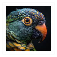 Close Up Of A Colorful Parrot's Face (Print Only)