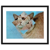 The Depressive Cat Am Abend Bekommt Den Blues thumbnail