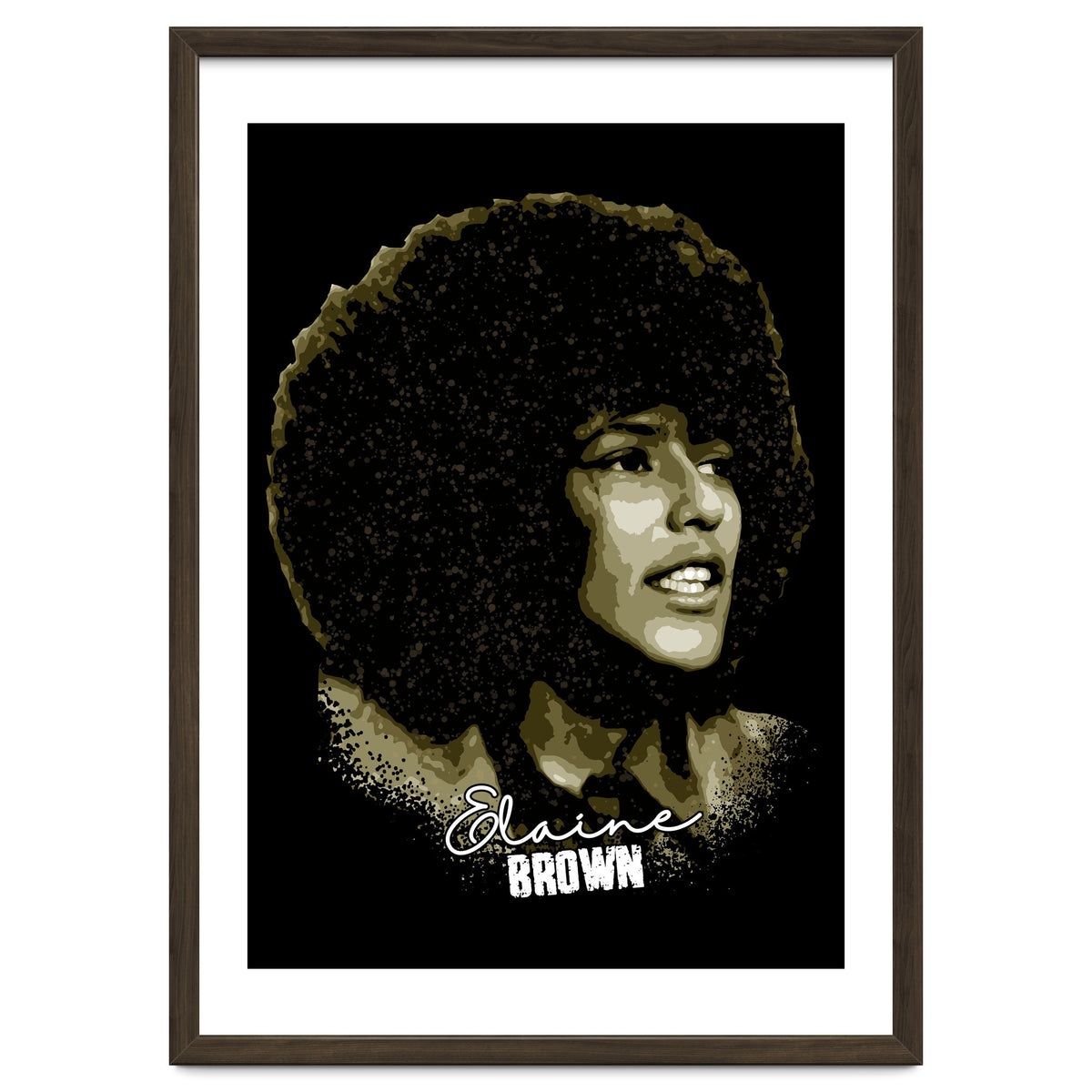 Vintage Elaine Brown American Prison Activist