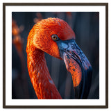 Close Up Flamingo Head Vibrant Orange Plumage thumbnail
