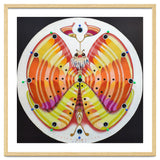 Clock butterfly thumbnail