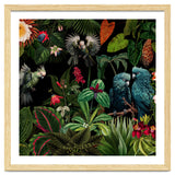 Moody Botanical Midnight Jungle Birds thumbnail