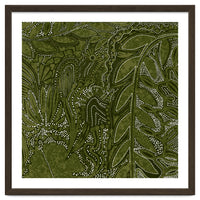 Forest Dense Foliage