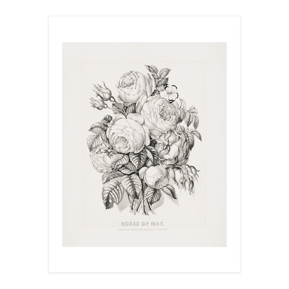 Currier & Ives – Rose of May (1870) (Print Only)