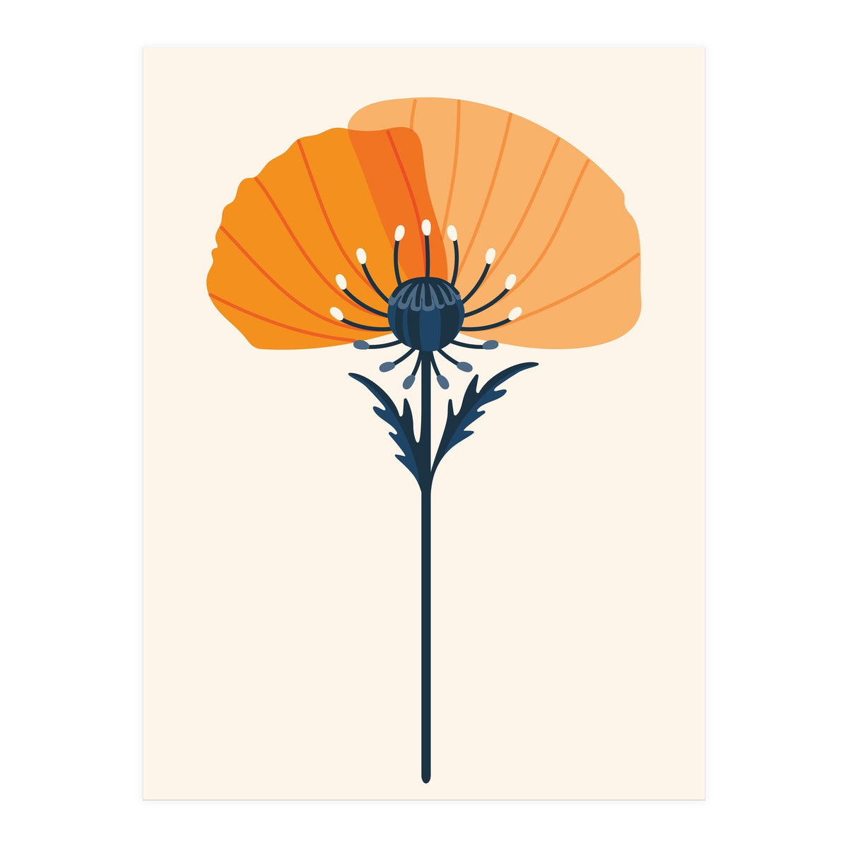 Orange Half Poppy (Print Only)