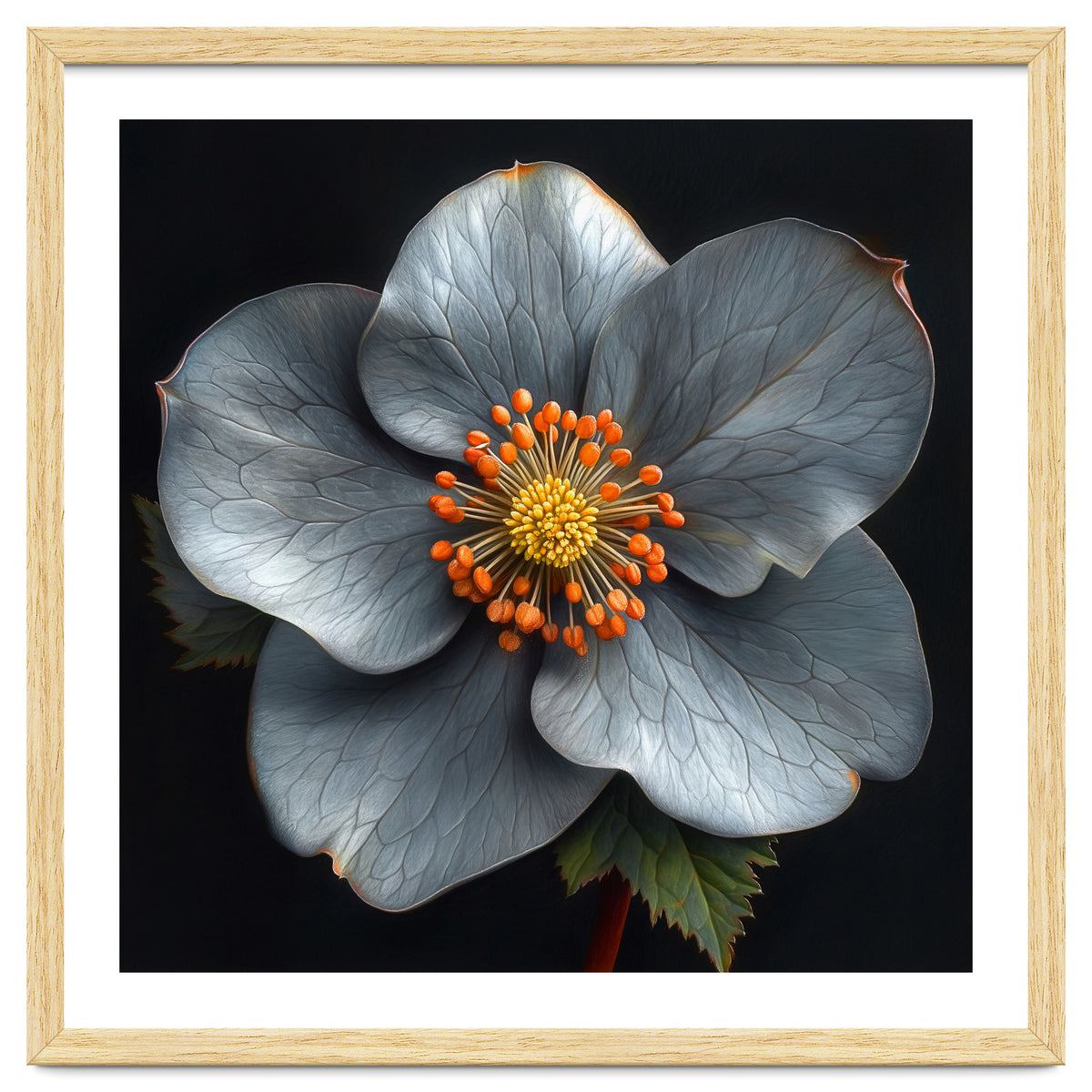Hellebore | Silver Magic