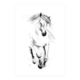 Runninh Ghorse In Water (Print Only) thumbnail