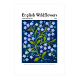 English Wildflowers | Forget-Me-Not (Print Only) thumbnail