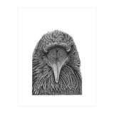 Muninn (Print Only) thumbnail