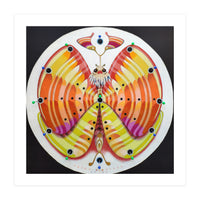 Clock butterfly (Print Only)