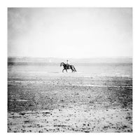 Sea Horse (Print Only)