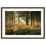 The poppy forest thumbnail