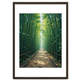 The Emerald Path: A Sun-Drenched Journey thumbnail