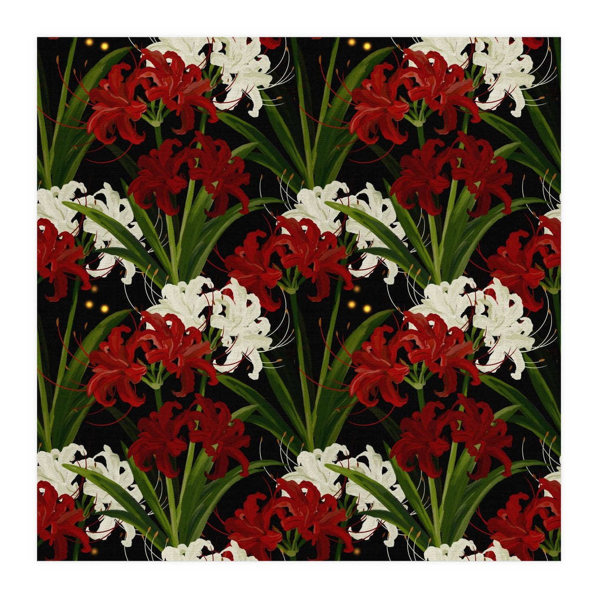 Red and White Spider Lily Flower Print Elegant Botanical Japanese Inspired Floral Artwork (Print Only)