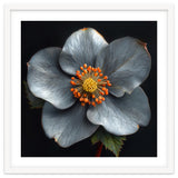 Hellebore | Silver Magic thumbnail