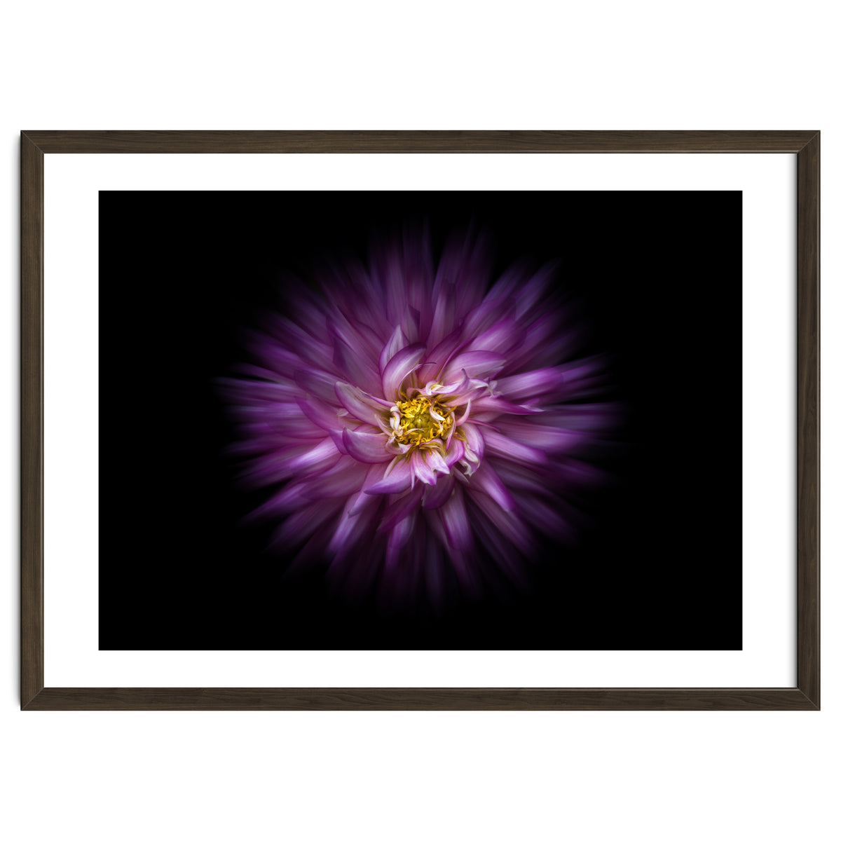 Backyard Flowers No 20 Color Flow Version