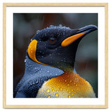 King Penguin Standing In Rain With Water Drops Nature Photography thumbnail