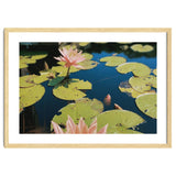 Lotus Pond | Landscape thumbnail