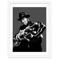 Taj Mahal American Blues Musician Legend