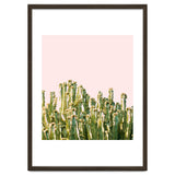 Cactus Blush #society6 #decor #buyart thumbnail