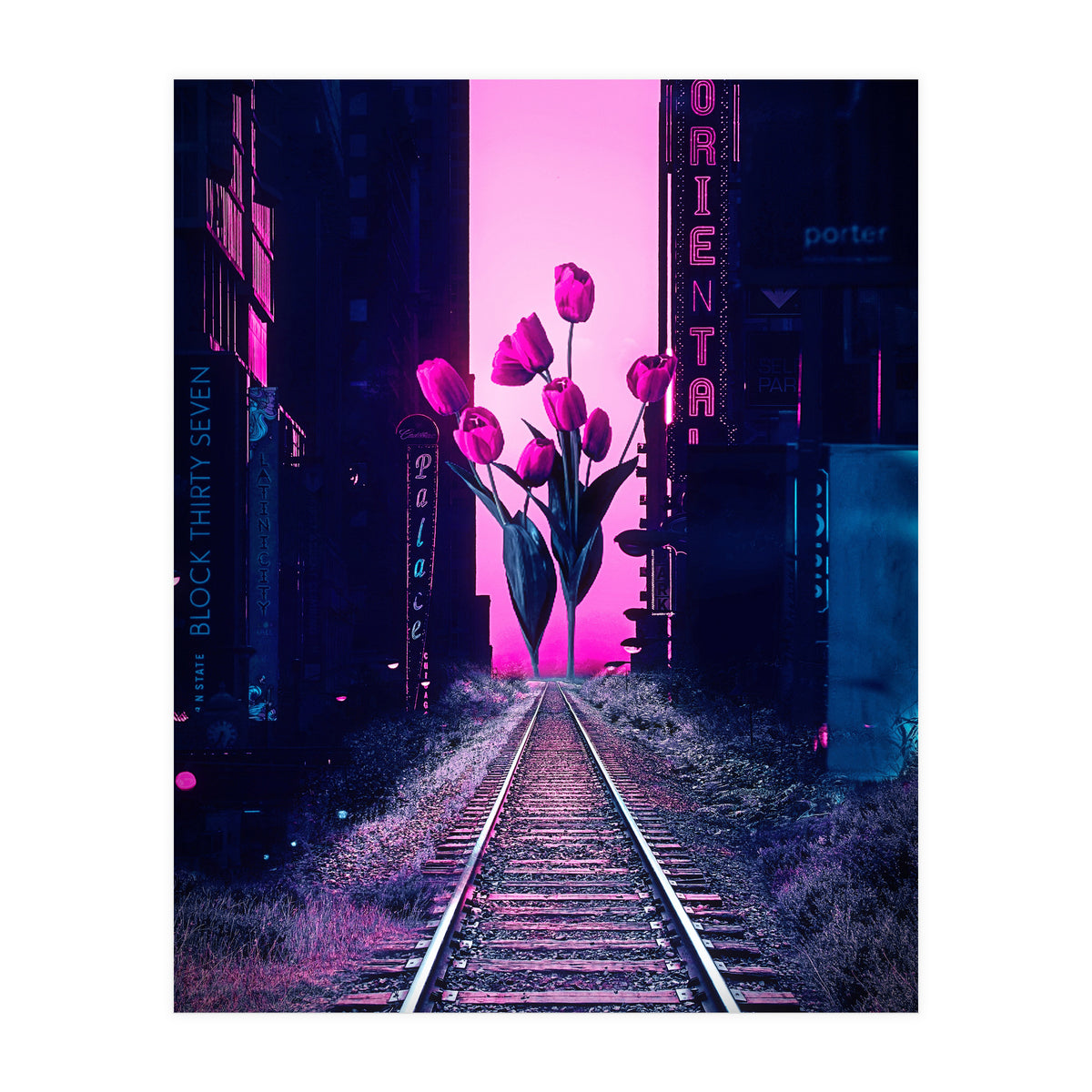 red tulips in the middle of the city (Print Only)