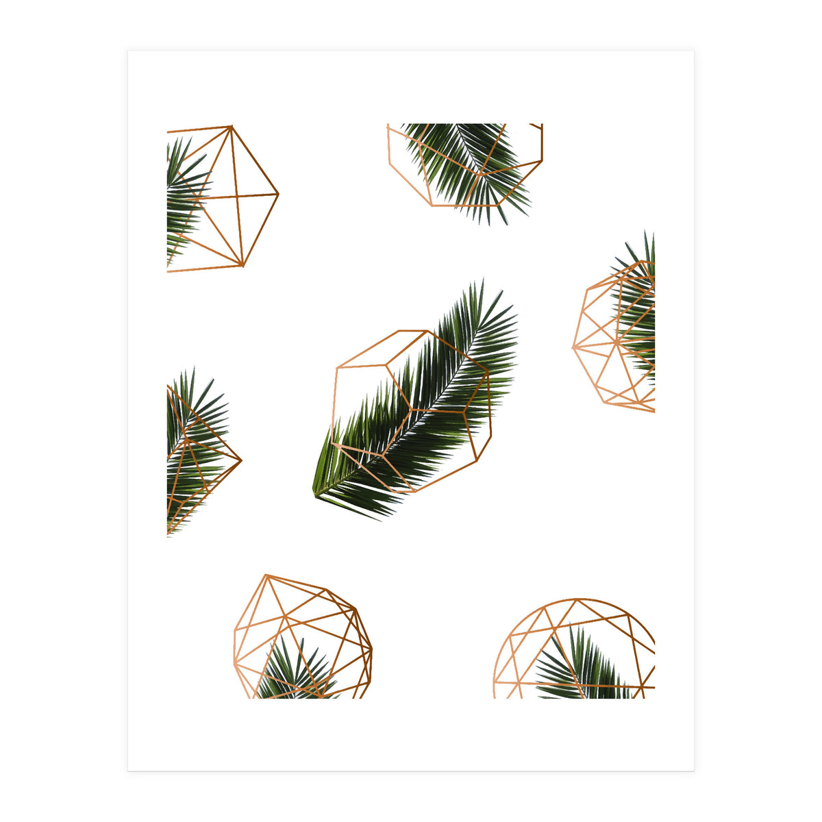 Palm  Geometry V2 (Print Only)