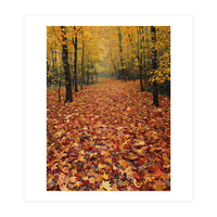 Ethereal Autumn Forest Path (Print Only)