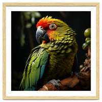 Vibrant Macaw Parrot