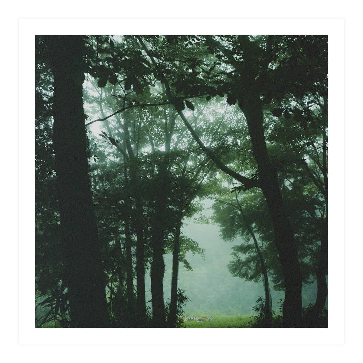 Silence of breath - 13 (Print Only)