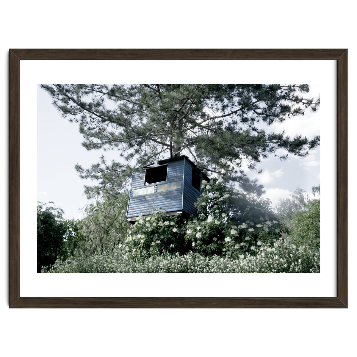 Blue hut on the tree