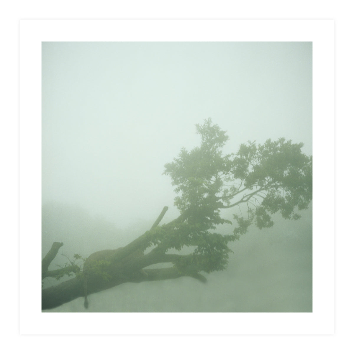 Silence of breath - 07 (Print Only)