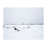 Drinking fountain covered with snow (Print Only) thumbnail