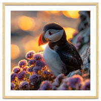Puffin Bird Amidst Purple Flowers Golden Hour