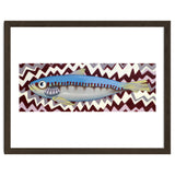 Sardine thumbnail