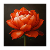 Double Lotus | Scarlet Solace (Print Only)