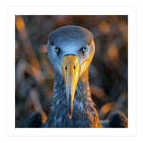 Great Blue Heron Closeup Dramatic Portrait (Print Only) thumbnail