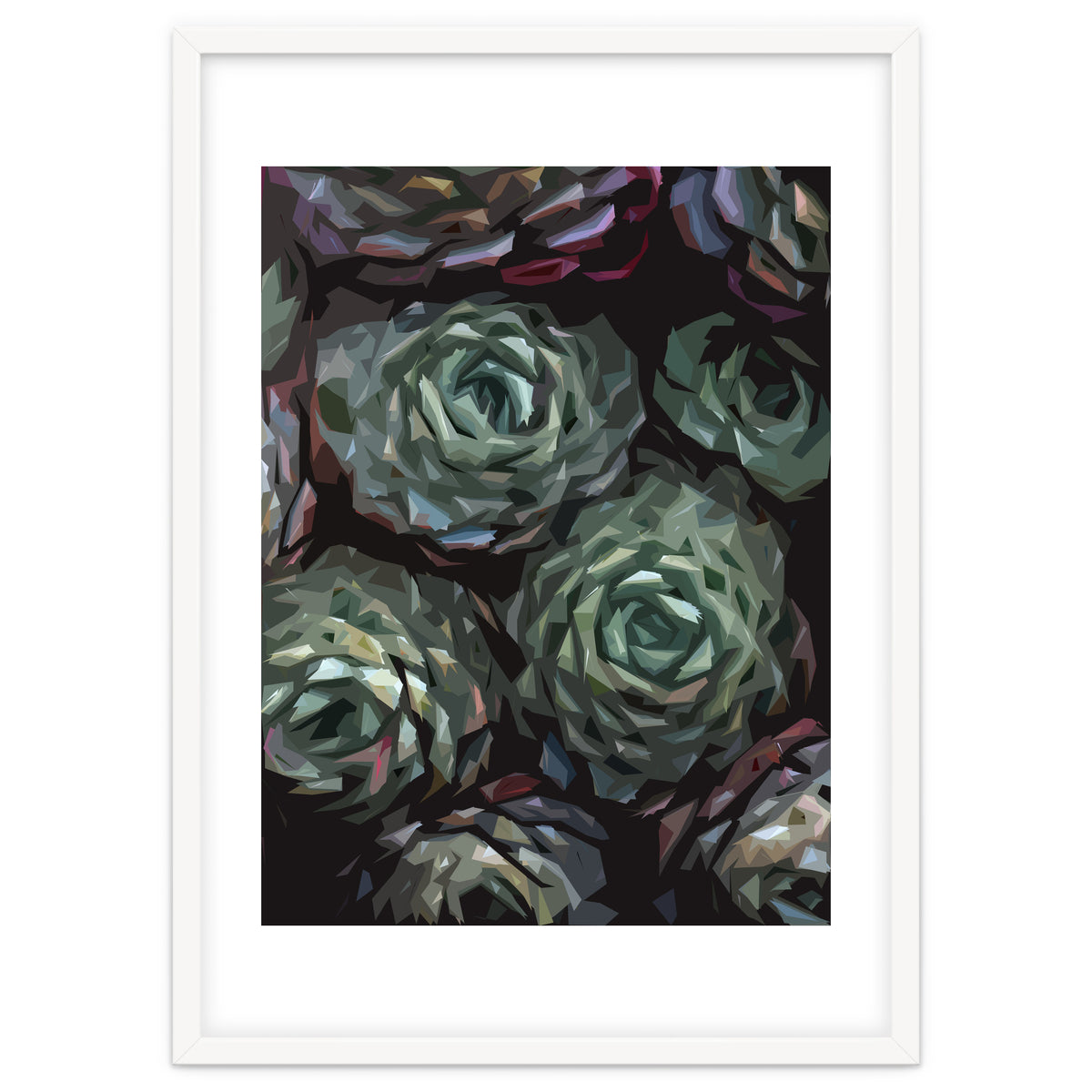 Succulent Plant Ii