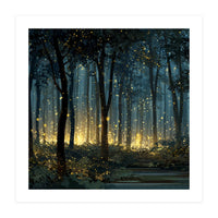Enchanted Midnight Forest with Glowing Fireflies (Print Only)